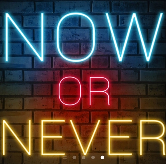 Meet your Posher, Chance - Picture 1 of 1